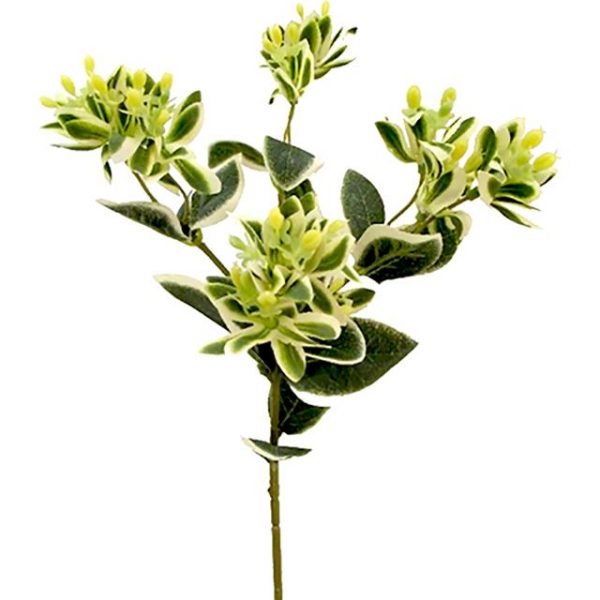 Artificial Euphorbia Spray Variegated Green