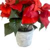 artificial potted poinsettia