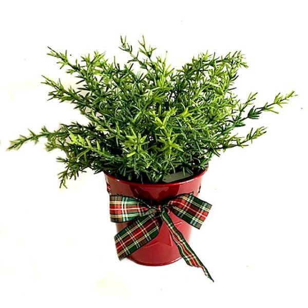 Artificial Potted Thyme Herb Plant in Tartan Pot with Ribbon