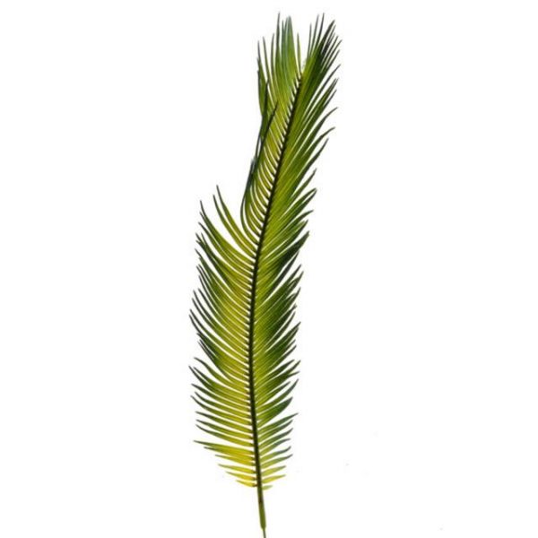 Artificial Cycas Palm Leaves