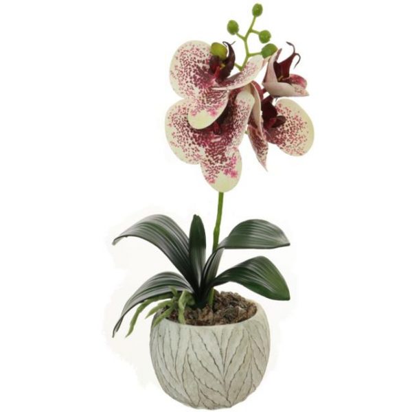 Artificial Harlequin Potted Orchid