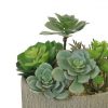 https://shared1.ad-lister.co.uk/UserImages/7eb3717d-facc-4913-a2f0-28552d58320f/Img/artificialpo/Artificial-Green-succulent-Arrangement-in-Bowl.jpg