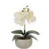 https://shared1.ad-lister.co.uk/UserImages/7eb3717d-facc-4913-a2f0-28552d58320f/Img/artificialpo/Artificial-White-Phalaenopsis-Orchid-Potted-Plant.jpg