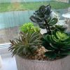 https://shared1.ad-lister.co.uk/UserImages/7eb3717d-facc-4913-a2f0-28552d58320f/Img/artificialpo/Succulent-Arrangement-in-white-bowl.jpg
