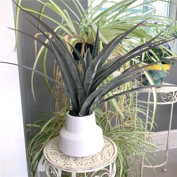 Artificial Dragon Palm Plant