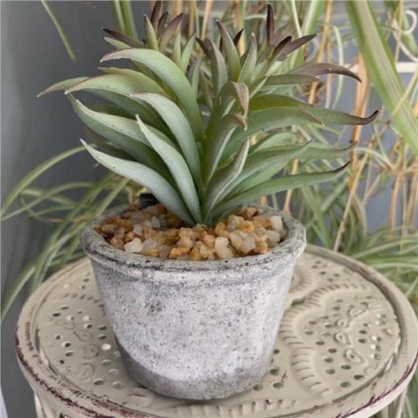 Artificial Spiky Succulent Plant