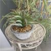https://shared1.ad-lister.co.uk/UserImages/7eb3717d-facc-4913-a2f0-28552d58320f/Img/artificialpo/Artificial-Succulent-Plant-in-Grey-Pot.jpg