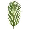 https://shared1.ad-lister.co.uk/UserImages/7eb3717d-facc-4913-a2f0-28552d58320f/Img/artificialfo/Giant-Artificial-Fern-Leaf-Green.jpg