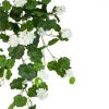 https://shared1.ad-lister.co.uk/UserImages/7eb3717d-facc-4913-a2f0-28552d58320f/Img/artificialfl/White-Trailing-Geranium-Hanging-Plant.jpg