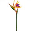https://shared1.ad-lister.co.uk/UserImages/7eb3717d-facc-4913-a2f0-28552d58320f/Img/artificialfl/80cm-Bird-of-Paradise-Flower-Stem.jpg