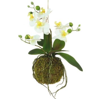 Artificial Cream Hanging Orchid in a Moss Ball 