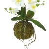 https://shared1.ad-lister.co.uk/UserImages/7eb3717d-facc-4913-a2f0-28552d58320f/Img/artificialpo/Artificial-Hanging-Orchid-in-moss-Ball.jpg