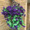https://shared1.ad-lister.co.uk/UserImages/7eb3717d-facc-4913-a2f0-28552d58320f/Img/artificialpo/Artificial-Morning-Glory-Hanging-Basket-with-Purple-Flowers.jpg