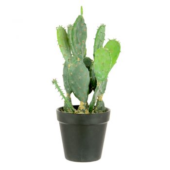 Artificial Flat Cactus Plant