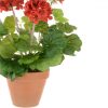 https://shared1.ad-lister.co.uk/UserImages/7eb3717d-facc-4913-a2f0-28552d58320f/Img/artificialpo/Geranium-Plant-in-teracotta-pot.jpg