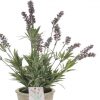 https://shared1.ad-lister.co.uk/UserImages/7eb3717d-facc-4913-a2f0-28552d58320f/Img/artificialpo/Glorious-Purple-Lavender-Plant-in-ceramic-pot.jpg