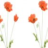 https://shared1.ad-lister.co.uk/UserImages/7eb3717d-facc-4913-a2f0-28552d58320f/Img/artificialfl/Artificial-Flame-Orange-Poppy-Flower.jpg