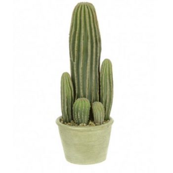 Artificial Potted Cactus Plant