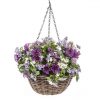 https://shared1.ad-lister.co.uk/UserImages/7eb3717d-facc-4913-a2f0-28552d58320f/Img/artificialpo/Artificial-Purple-Morning-Glory-Hanging-Basket.jpg