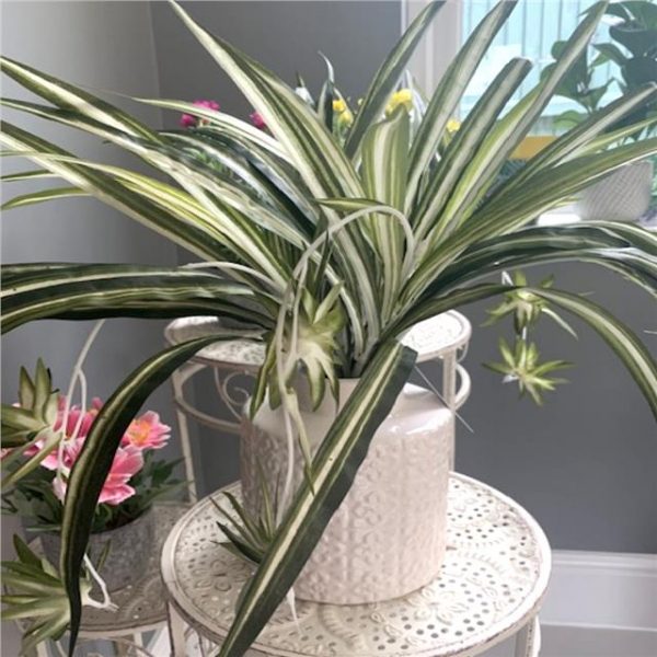 Artificial Potted Spider Plant