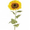 https://shared1.ad-lister.co.uk/UserImages/7eb3717d-facc-4913-a2f0-28552d58320f/Img/artificialfl/Artificial-Sunflower-140cm.jpg