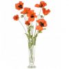 https://shared1.ad-lister.co.uk/UserImages/7eb3717d-facc-4913-a2f0-28552d58320f/Img/artificialpo/Footed-glass-vase-with-orange-poppies.jpg