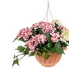 https://shared1.ad-lister.co.uk/UserImages/7eb3717d-facc-4913-a2f0-28552d58320f/Img/artificialpo/Pink-Cream-Hydrangea-Flower-Hanging-Basket-in-teracotta-Pot.jpg