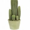 https://shared1.ad-lister.co.uk/UserImages/7eb3717d-facc-4913-a2f0-28552d58320f/Img/artificialpo/Potted-Cactus-Group-32cm.jpg