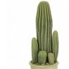 https://shared1.ad-lister.co.uk/UserImages/7eb3717d-facc-4913-a2f0-28552d58320f/Img/artificialpo/Potted-Plant-with-artificial-Cacti-Arrangement.jpg
