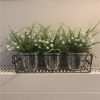Set of 3 Potted Lily of the Valley