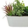https://shared1.ad-lister.co.uk/UserImages/7eb3717d-facc-4913-a2f0-28552d58320f/Img/artificialpo/Succulent-Display-in-Planter.jpg