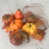 10cm Pumpkins in a Net Bag