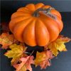 https://shared1.ad-lister.co.uk/UserImages/7eb3717d-facc-4913-a2f0-28552d58320f/Img/fake_fruit/19cm-Orange-Pumpkin-Autumn-Decoration.jpg