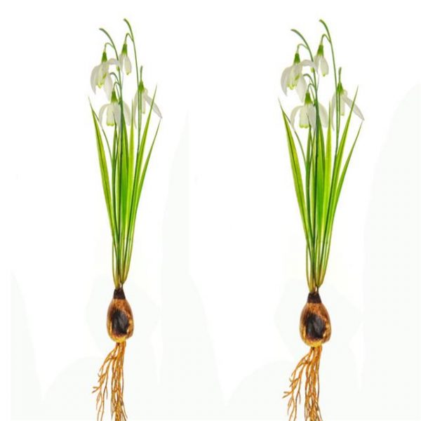 Set of 2 Artificial Snowdrop Bundles with Bulb
