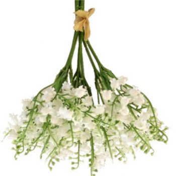 Lily of the Valley Bundle