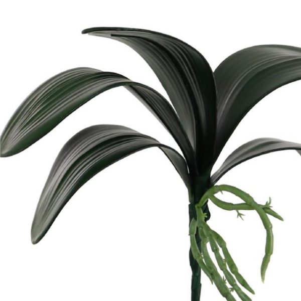 Artificial Orchid Leaves with Roots