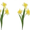 https://shared1.ad-lister.co.uk/UserImages/7eb3717d-facc-4913-a2f0-28552d58320f/Img/artificialfl/Artificial-Yellow-3-headed-Daffodil-Stem.jpg