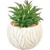 https://shared1.ad-lister.co.uk/UserImages/7eb3717d-facc-4913-a2f0-28552d58320f/Img/artificialpo/Natural-green-succulent-plant-in-decorative-pot.jpg