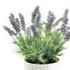 https://shared1.ad-lister.co.uk/UserImages/7eb3717d-facc-4913-a2f0-28552d58320f/Img/artificialpo/Potted-Lavender-in-ribbed-Pot-Purple-Flowers.jpg