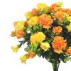 https://shared1.ad-lister.co.uk/UserImages/7eb3717d-facc-4913-a2f0-28552d58320f/Img/artificialfl/35cm-Carnation-Bush-Yellow-Orange.jpg