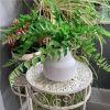 https://shared1.ad-lister.co.uk/UserImages/7eb3717d-facc-4913-a2f0-28552d58320f/Img/artificialpo/Artificial-Potted-Fern-Plant-in-Retro-Vase.jpg