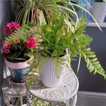 Artificial Potted Lady Fern Plant