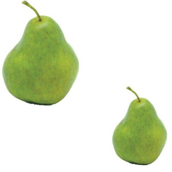 https://shared1.ad-lister.co.uk/UserImages/7eb3717d-facc-4913-a2f0-28552d58320f/Img/artificialfr/Pair-of-Artificial-Pears-Green.jpg