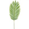 https://shared1.ad-lister.co.uk/UserImages/7eb3717d-facc-4913-a2f0-28552d58320f/Img/artificialfo/Artificial-Fern-Leaf-Natural-Green.jpg