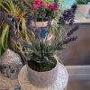 https://shared1.ad-lister.co.uk/UserImages/7eb3717d-facc-4913-a2f0-28552d58320f/Img/artificialpo/Potted-Lavender-Plant-in-Crackled-Pot.jpg