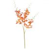 https://shared1.ad-lister.co.uk/UserImages/7eb3717d-facc-4913-a2f0-28552d58320f/Img/artificialor/Silk-Brazilian-Dancing-Orchid-Flower-Orange.jpg