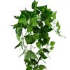 https://shared1.ad-lister.co.uk/UserImages/7eb3717d-facc-4913-a2f0-28552d58320f/Img/artificialfo/Trailing-Pothos-Plant-Green.jpg