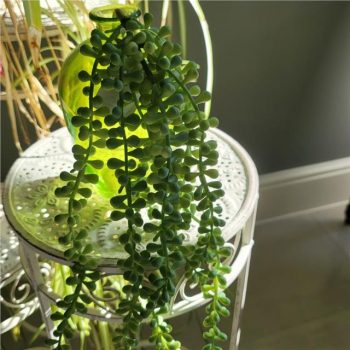 Artificial Trailing String of Pearls Plant