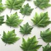 https://shared1.ad-lister.co.uk/UserImages/7eb3717d-facc-4913-a2f0-28552d58320f/Img/artificialfo/Artificial-Assorted-Maple-Leaves-Green.jpg