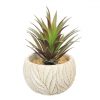 https://shared1.ad-lister.co.uk/UserImages/7eb3717d-facc-4913-a2f0-28552d58320f/Img/artificialpo/Artificial-Jewell-Succulent-plant-in-white-pot.jpg